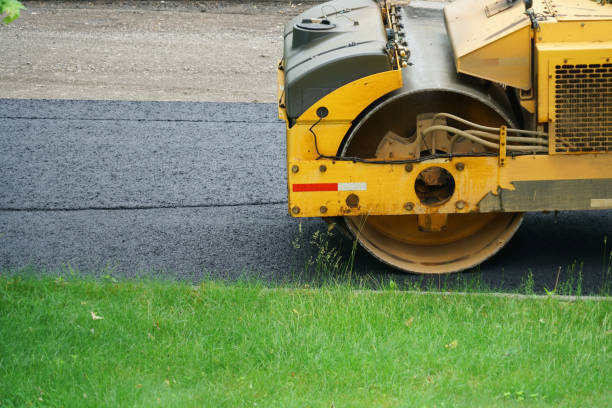 Best Local Driveway Pavers  in Abbeville, AL